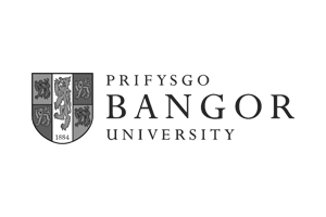 Bangor University Logo (B&W)